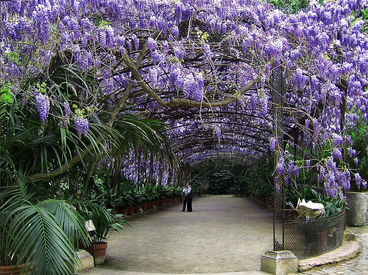 Ботанический сад Ля Консепсьон в Малаге